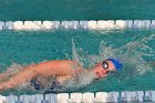Swimming vs Babson  Wheaton College Swimming vs Babson College. - Photo By: KEITH NORDSTROM : Wheaton, Swimming, Babson